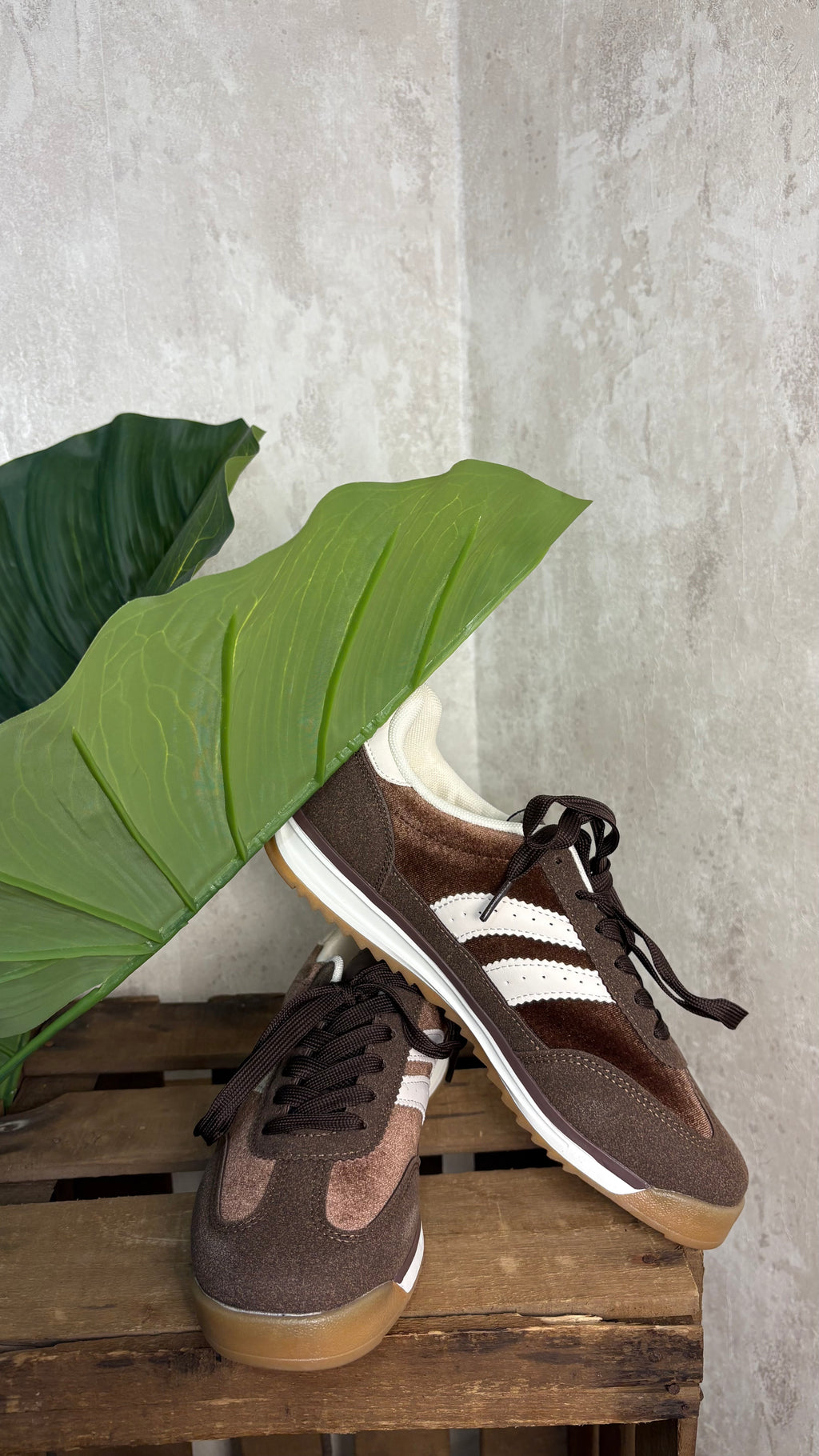 Deportiva Chocolate