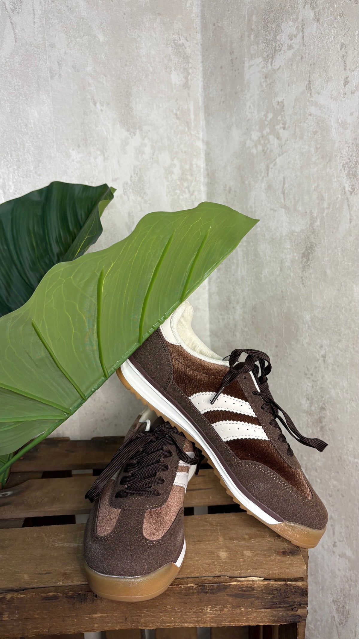Deportiva Chocolate