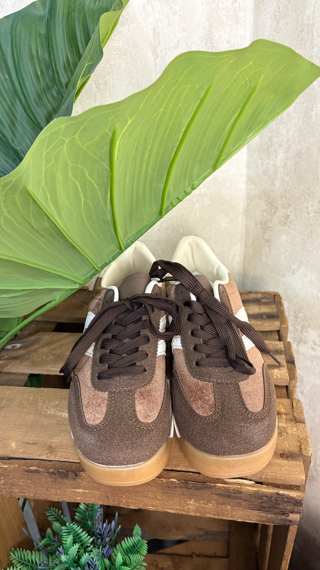 Deportiva Chocolate