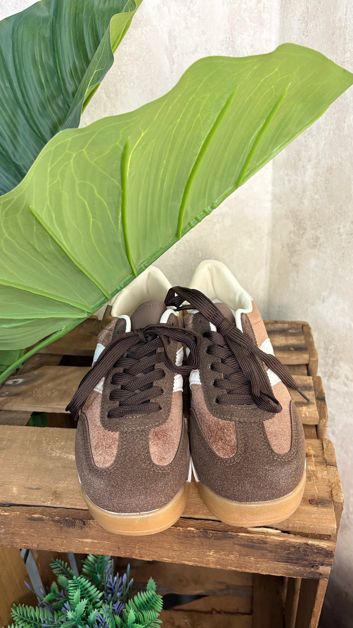 Deportiva Chocolate