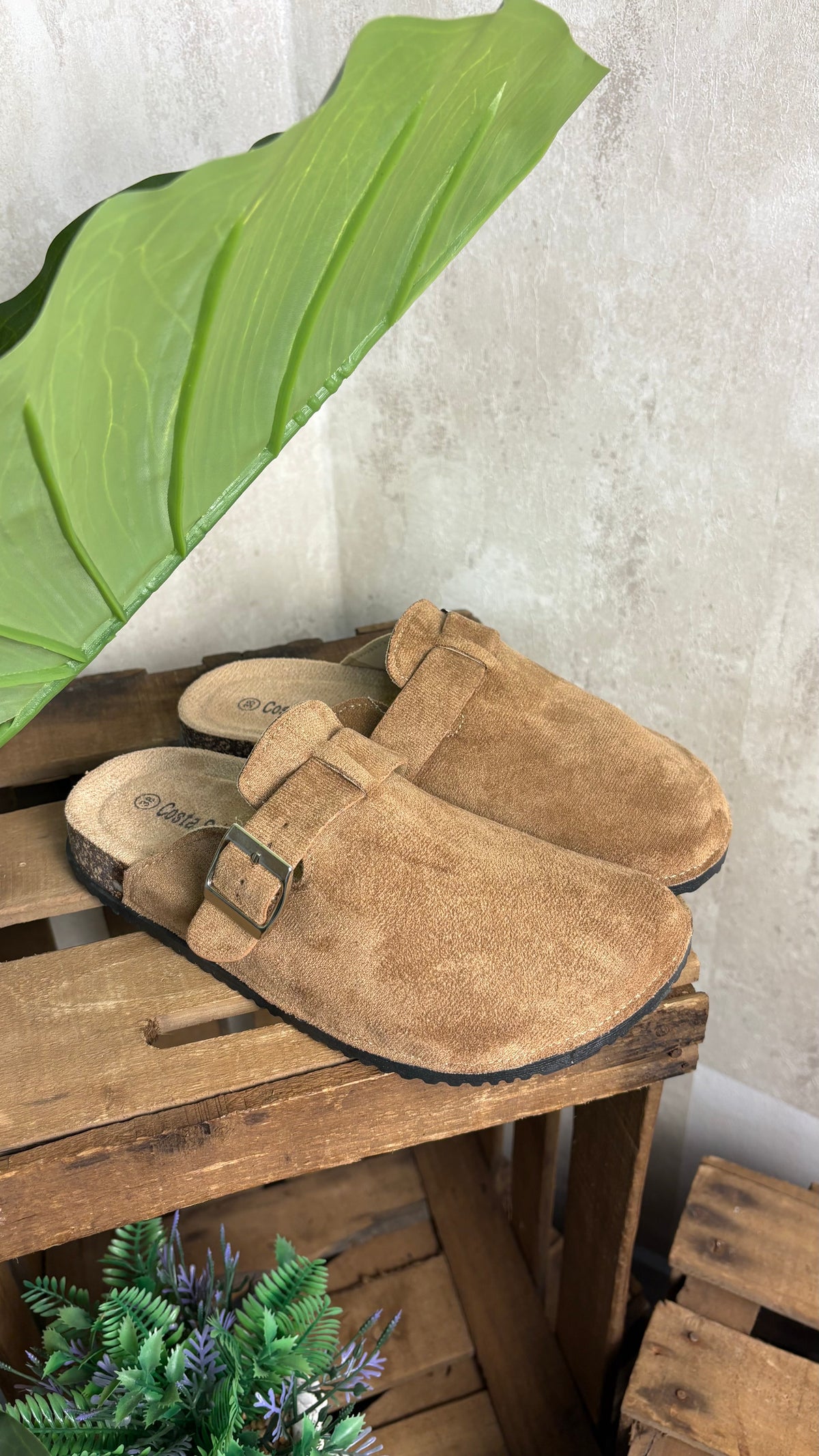 Zueco Camel