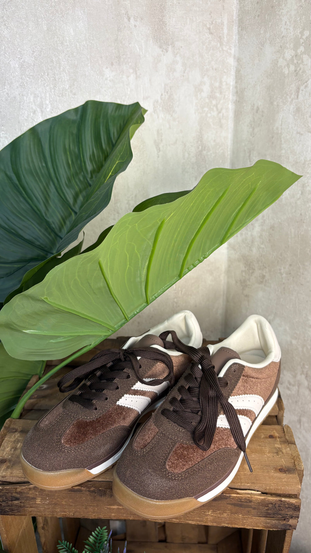 Deportiva Chocolate