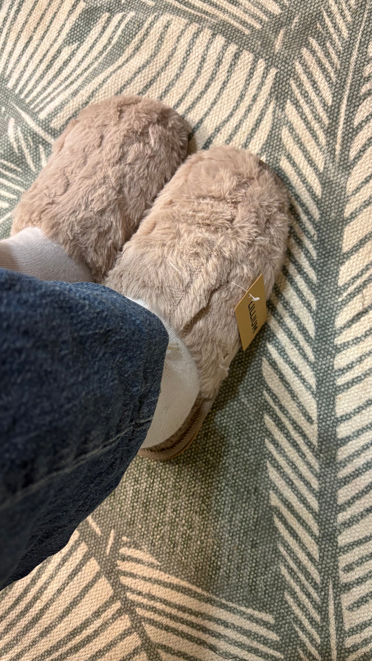 Zapatilla De Casa